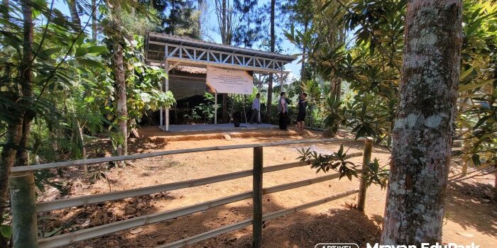 Belajar Sambil Berlibur di Mrayan EduPark, Wisata Edukasi Alam yang Menginspirasi