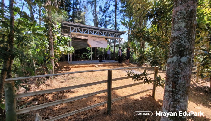 Belajar Sambil Berlibur di Mrayan EduPark, Wisata Edukasi Alam yang Menginspirasi Belajar Sambil Berlibur di Mrayan EduPark, Wisata Edukasi Alam yang Menginspirasi